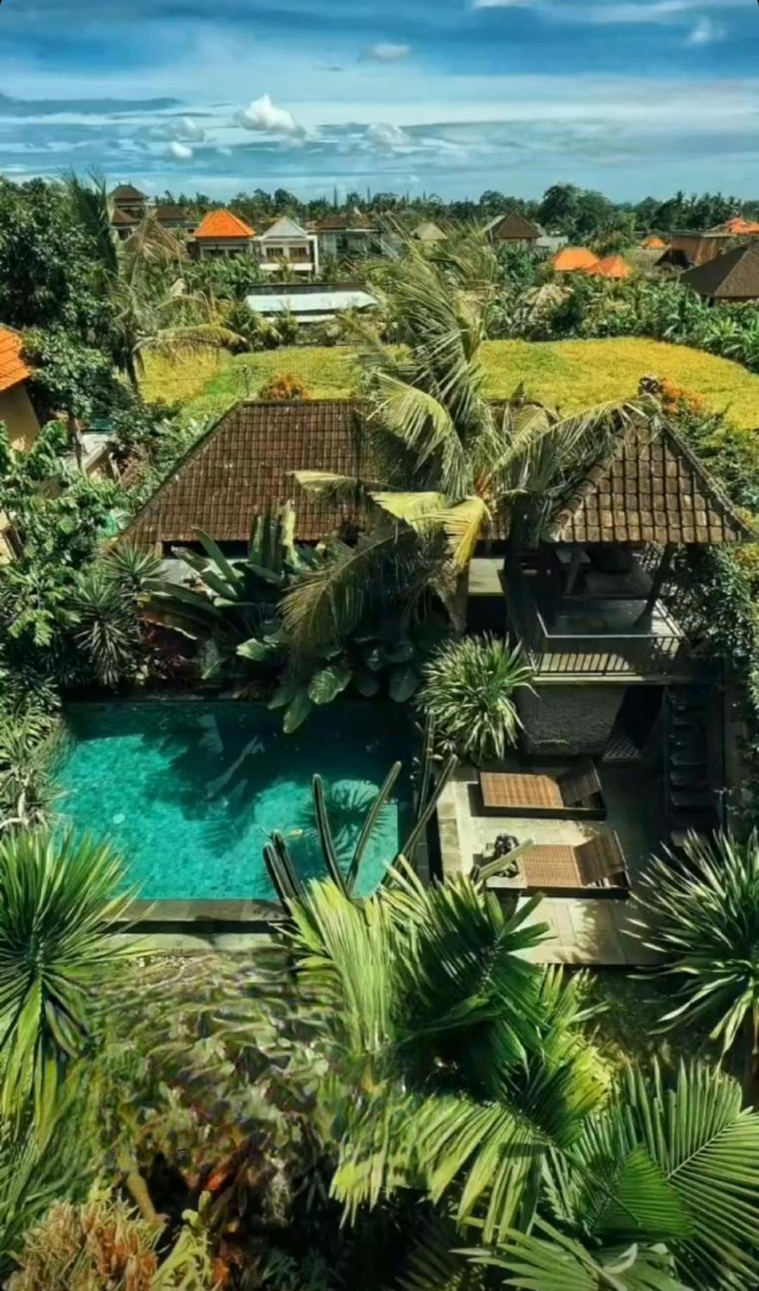 Buda Amitaba Ubud Exterior foto